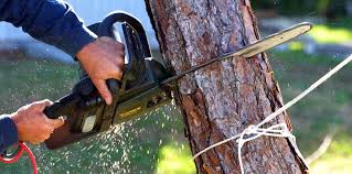 Best Aeration Services  in Corte Madera, CA